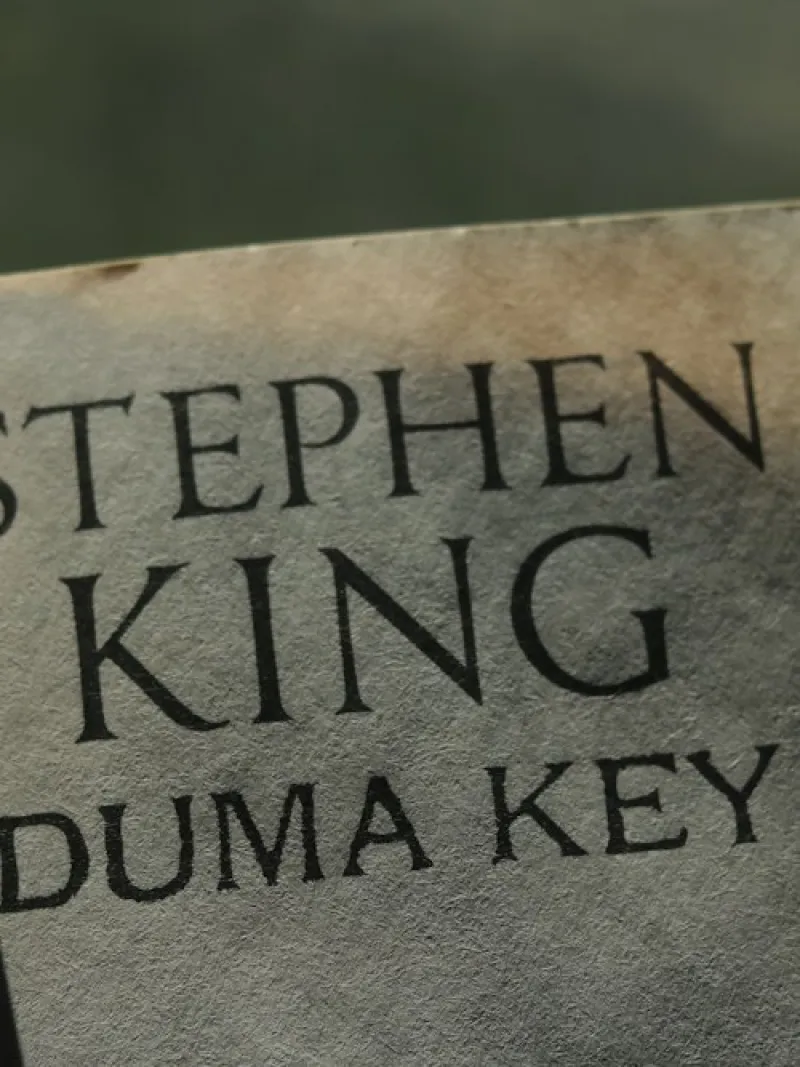 Duma Key cover